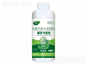 1300g\}VF-ِʩ-sҫrI 