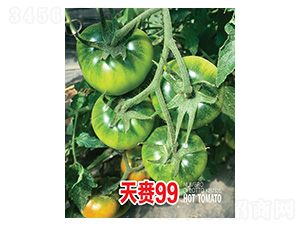 天賚99-忠農坤創