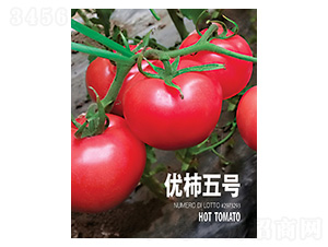 優柿五號-忠農坤創