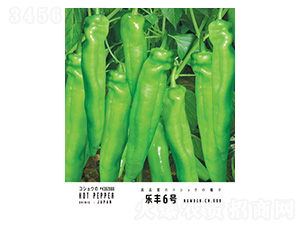 樂豐6號(hào)-忠農(nóng)坤創(chuàng)