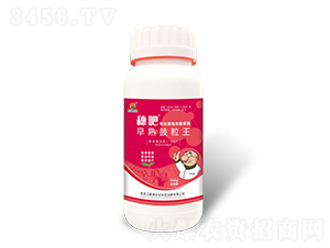 穗肥早熟鼓粒王-鵬祥農業