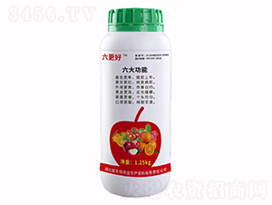 六更好-耀迅飛農業