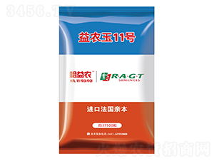 益農玉11號-玉米種子-益農種業