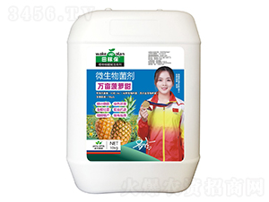 萬(wàn)畝菠蘿甜微生物菌劑-田稼保