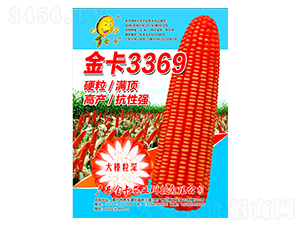 3369-׷N-rI