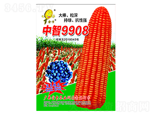 9908-׷N-rI