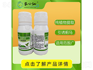薊馬誘食劑-農小仙-萬物綠源