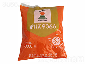 9366׷N-ʩ-rI