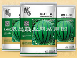 星研十一號-西瓜種子-雙星種業