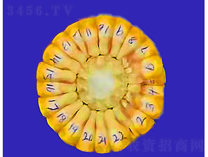 \6-׷N-Ǻr