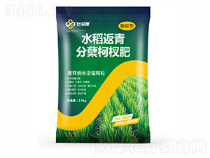 加硅型水稻返青分蘗柯杈肥-施保康