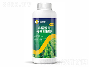 1000ml加硅型水稻返青分蘗柯杈肥-施保康