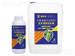 玉米授粉拉長素-顆粒豐-鵬達邦農