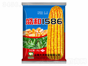 ׷N-ʢ1586-NI