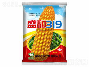 ׷N-ʢ319-NI