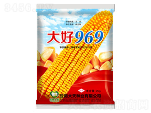 ׷N-969-NI