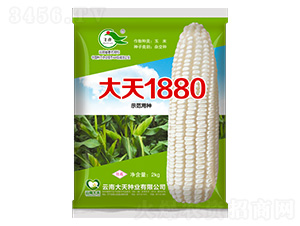 ׷N-1880-NI