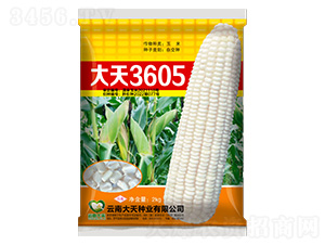 ׷N-3605-NI