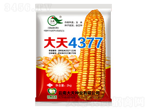 ׷N-4377-NI