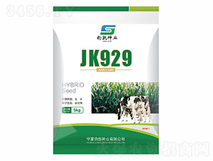 JK929-ɷNI