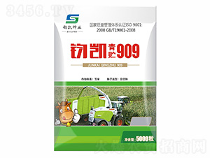 xPA909-ɷNI