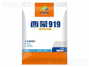 919-ɷNI
