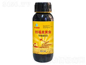 孕穗灌漿型創富麥黃金-賀藍液肥-創福