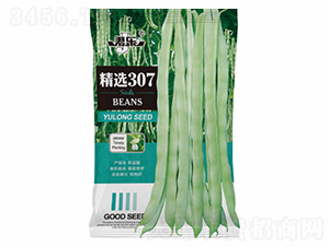 精選307-諾易達