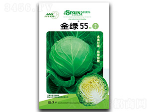 金綠55-甘藍種子-金木茂和