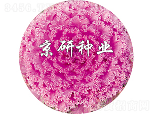 ڼt7̖-{N-зNI