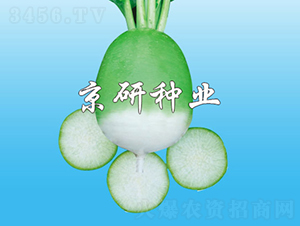 1̖-}N-зNI