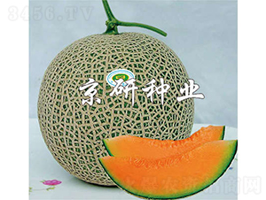 4̖-ϷN-зNI
