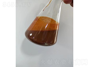 內蒙氨基酸液-灃瑞生物