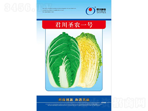 君川圣農(nóng)一號(hào)-白菜種子-君川種業(yè)