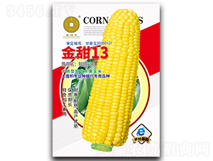 Ŵ708-׷N-ANI 