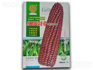 紅甜糯8號(hào)-玉米種子-華為種業(yè)