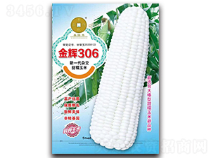 金輝306-玉米種子-華為種業