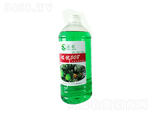 㑃508-rI