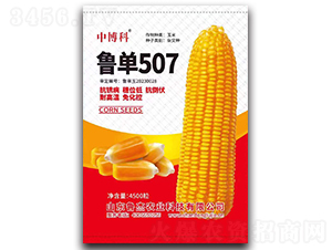 魯單507玉米種子-中博科-魯杰農業