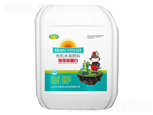 海藻魚蛋白有機水溶肥料-乾十三-紅太朗農業
