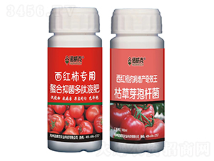 西紅柿專用螯合抑菌多肽液肥+西紅柿抗病增產奇效王-諾威克