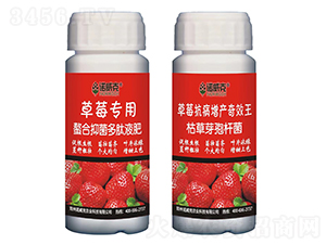 草莓專用螯合抑菌多肽液肥+草莓抗病增產奇效王-諾威克