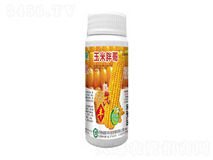 玉米胖哥-鑫豐科技