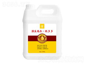 強生穩長·根多多-鑫豐科技