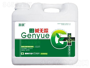 壯苗消毒堿無蹤-跟躍-美尚農(nóng)業(yè)