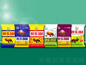 秋樂368-玉米種子-秋樂種業(yè)