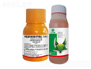 3.4%װSر}-tf-l弾L-˹r