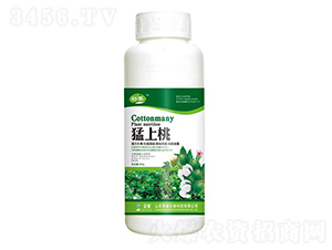 ң500g--sҫrI