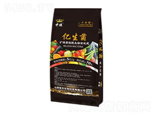 礦源腐植酸生物有機肥-億生菌-晉豐生物