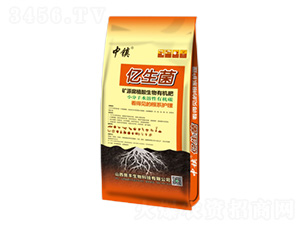 礦源腐植酸生物有機肥（黃）-億生菌-晉豐生物